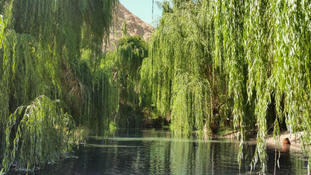 Aldea Del Valle - Elqui Villas, Pisco Elqui Luaran gambar